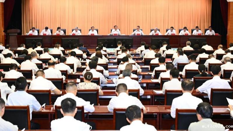 深入学习贯彻习近平总书记重要讲话重要指示精神勇于创新勇立潮头推动长三角一体化发展取得新的更大进展